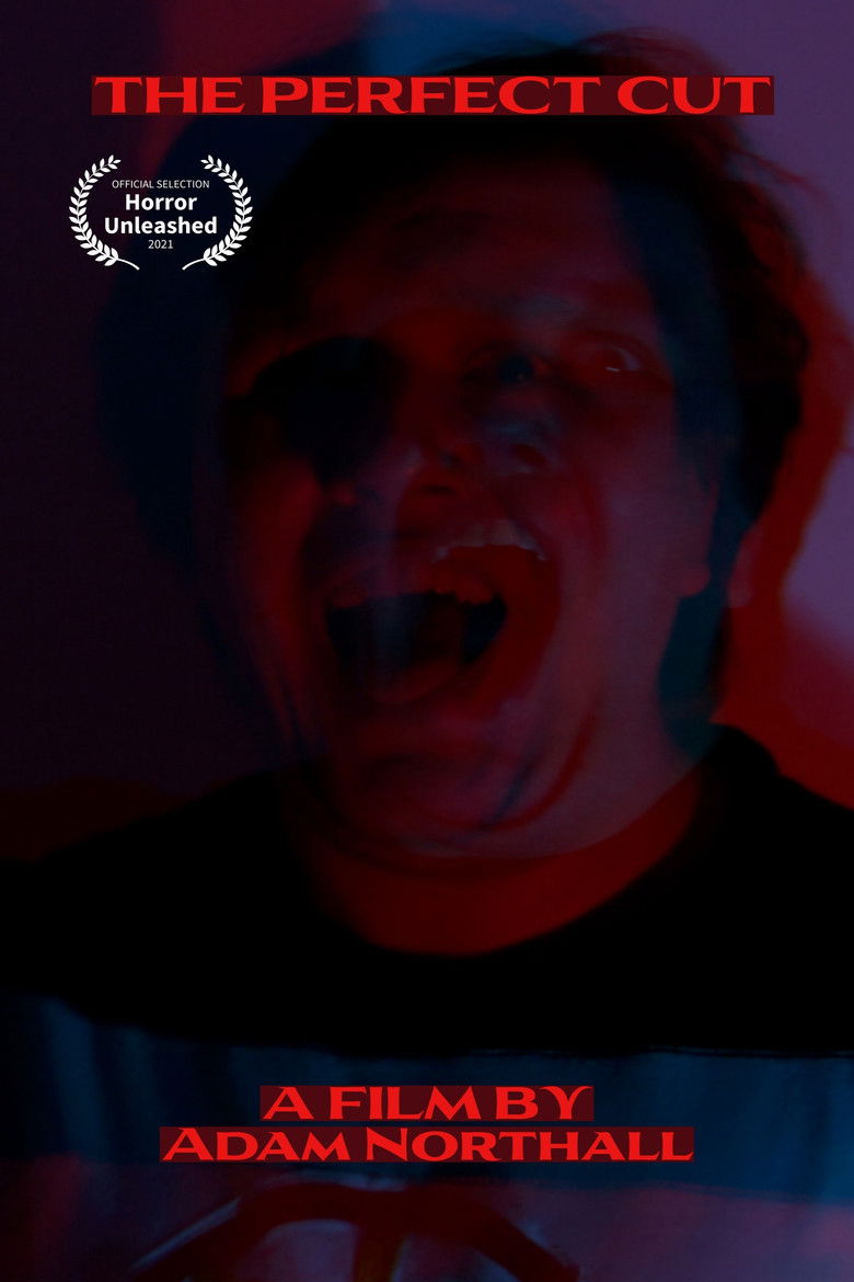 Imatge de The Perfect Cut
