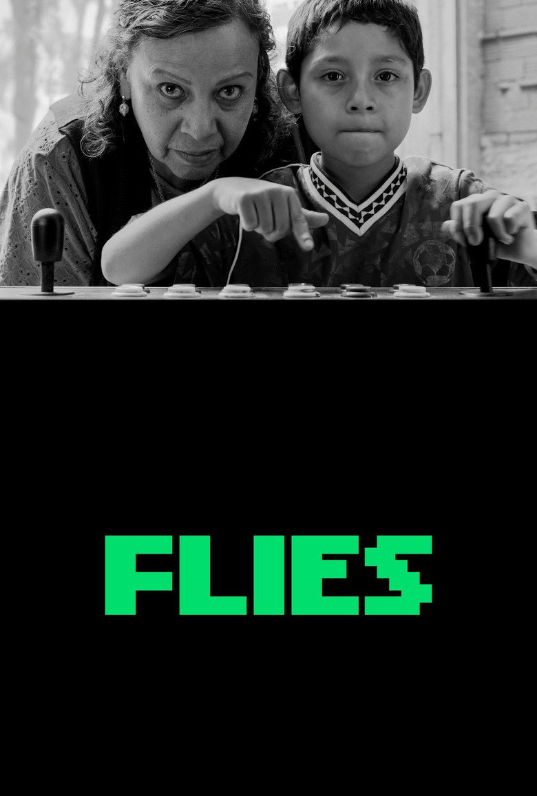 Flies