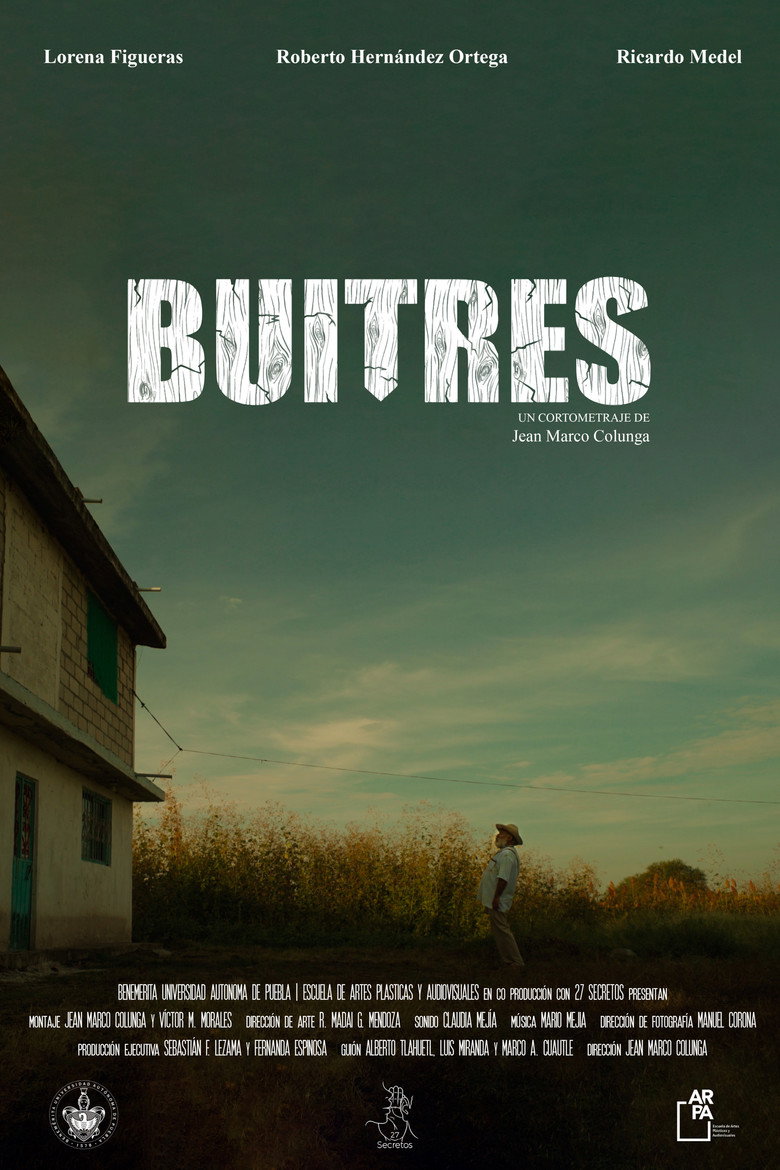 Imatge de Buitres