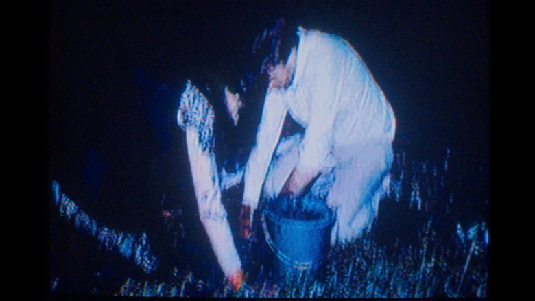 Imatge de The Dirt Knows.