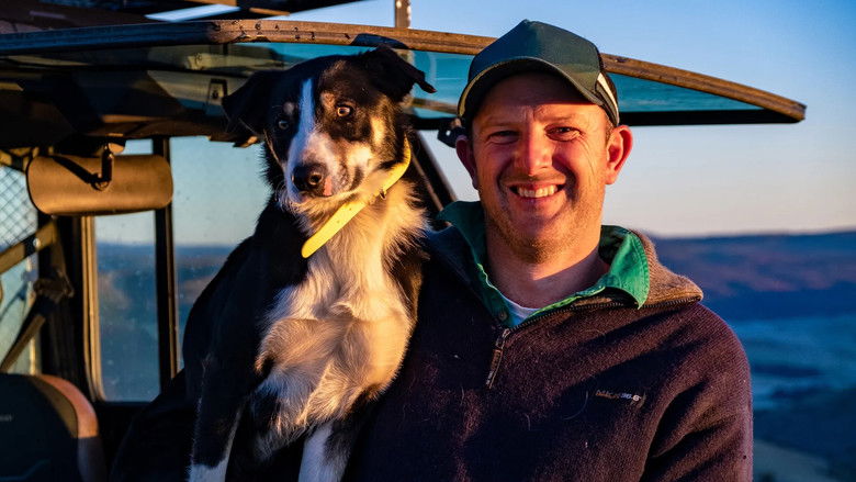 Still image for Muster Dogs: Where Are They Now season 1 episode 1: Episode 1 Still image for Muster Dogs: Where Are They Now season 1 episode 1: Episode 1