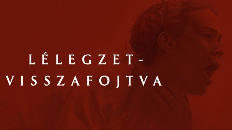 Gallery image from 8pFUKBkZFhvg0tRX462UKkjj63n.jpg