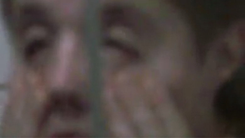 Imatge de Rabbit on a Highway