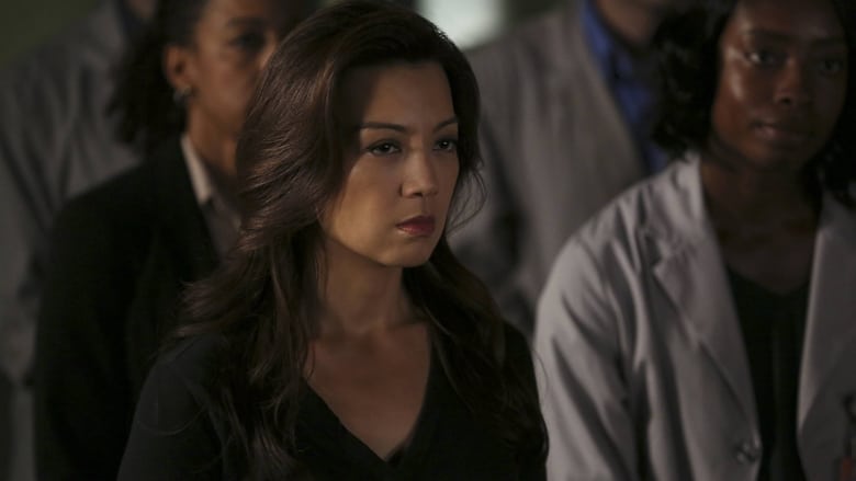 Marvel - Agentes da S.H.I.E.L.D - S03E08 - Marvel - Agents Of S H I E L D  S03 E08