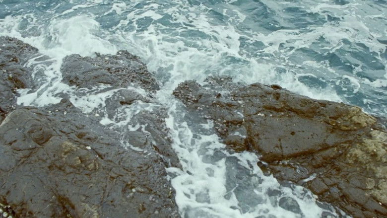 Gallery image from 8qoIPOEe40lxUkvG4TTc9uhrJaP.jpg