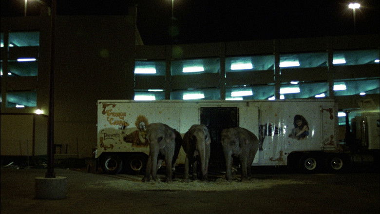 Image d'arrière-plan 6 du film Queen of Diamonds