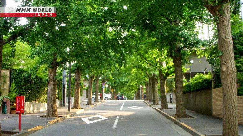 Still image for Zeroing In: Carbon Neutral 2050 season 1 episode 15: Our Breathing Cities Still image for Zeroing In: Carbon Neutral 2050 season 1 episode 15: Our Breathing Cities