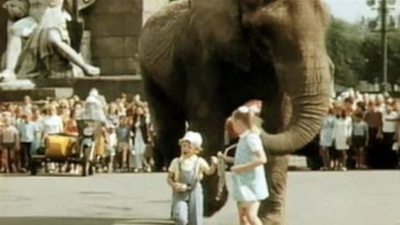 Боба и слон movie poster