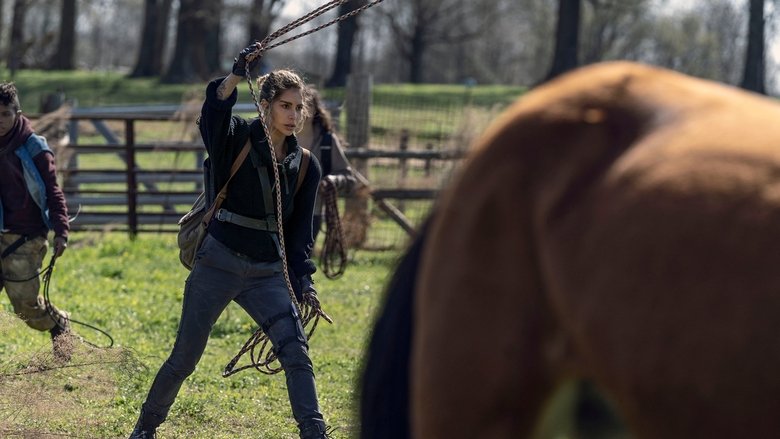 Walking Dead Saison 11 Episode 3 Streaming The Walking Dead Saison 11 episode 3 en streaming VF - Seriepourvous