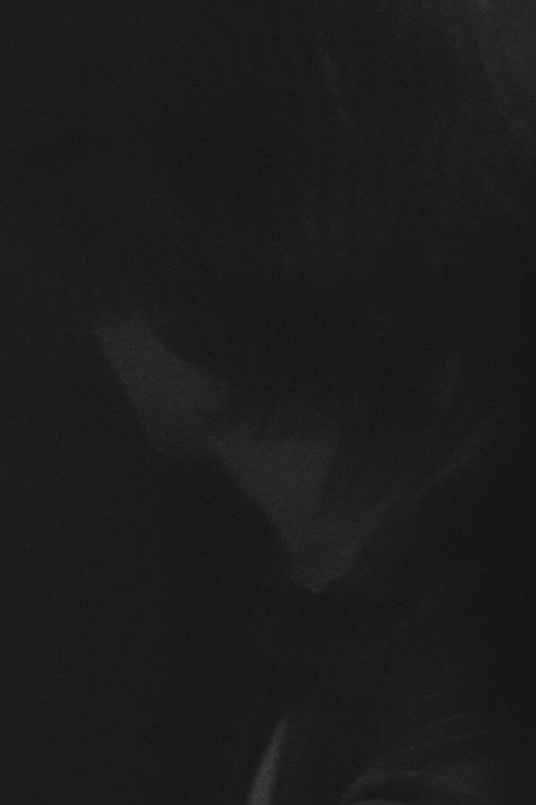 Imatge de Ephèbes et courtisanes