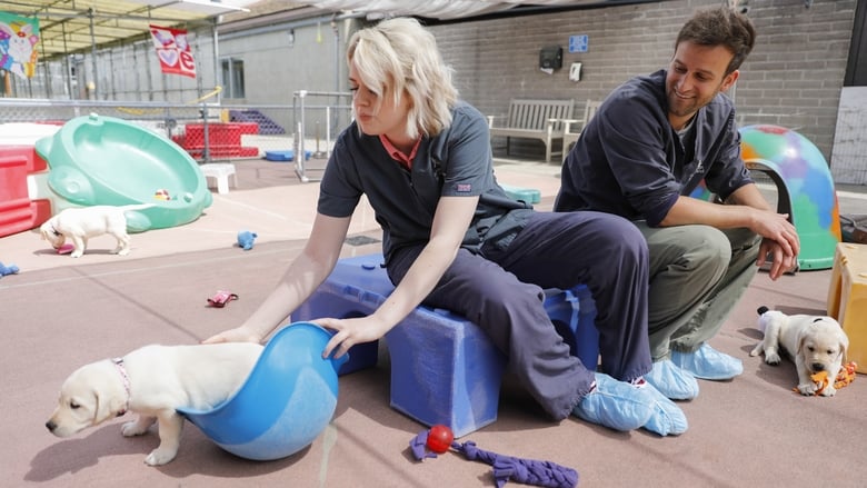 Still image for Pick of the Litter season 1 episode 3: Training Begins Still image for Pick of the Litter season 1 episode 3: Training Begins