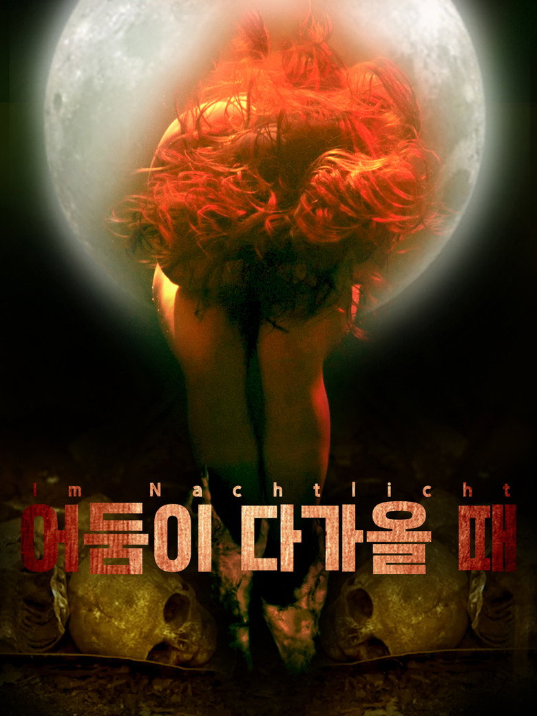 어둠이 다가올 때(Im Nachtlicht) poster