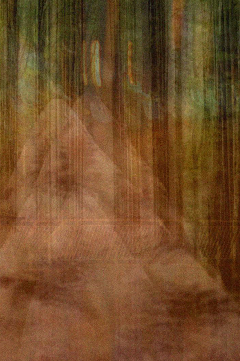 Imatge de Nett av bortkomne inntrykk