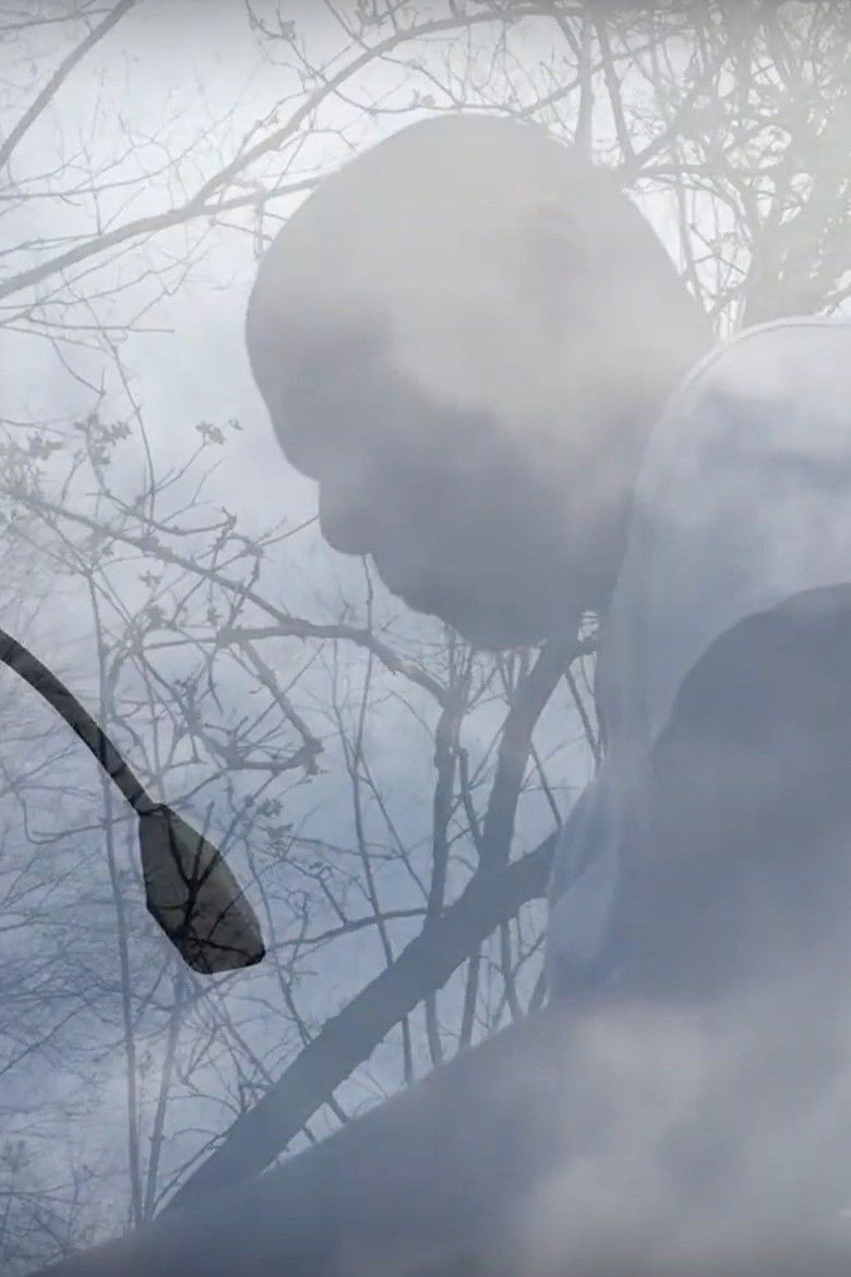 Imatge de A Rainbow In the Sky