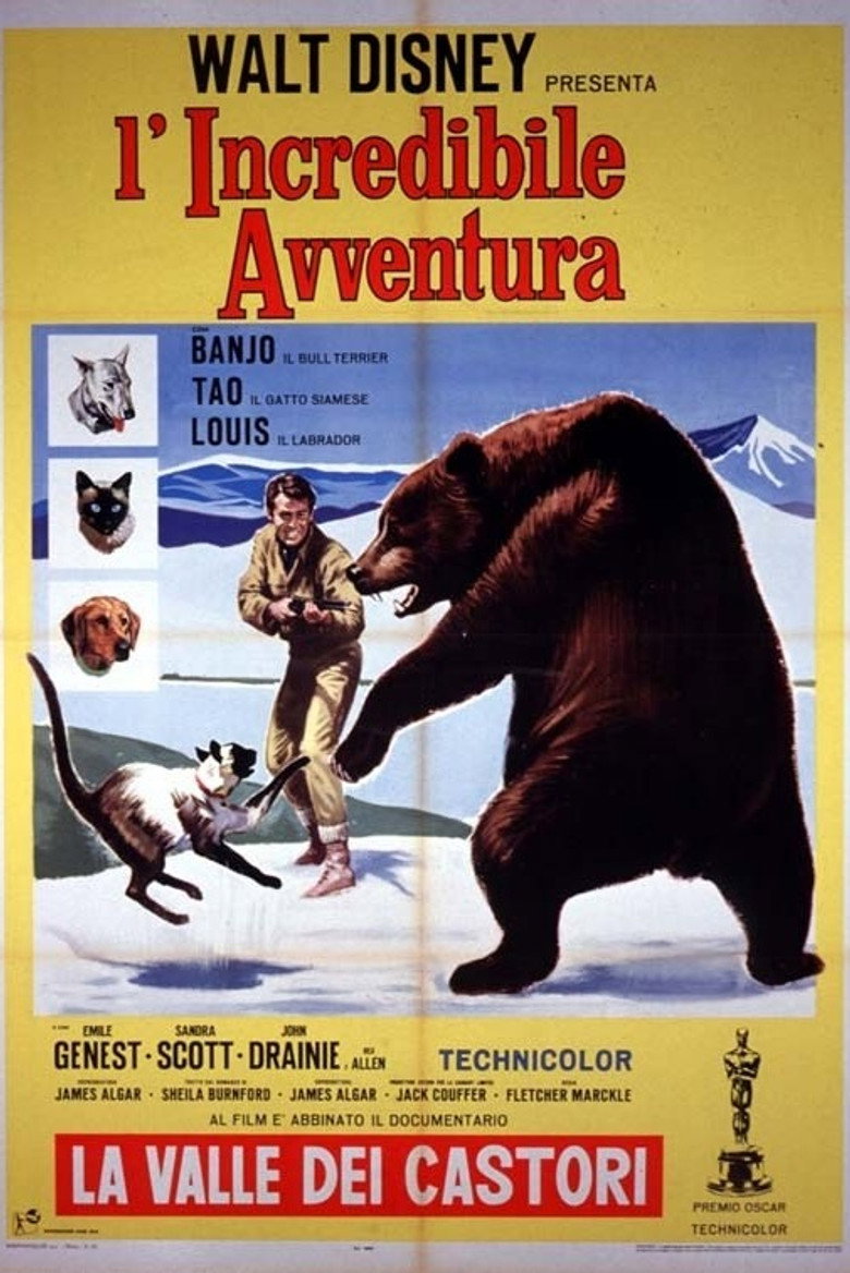 L'incredibile avventura