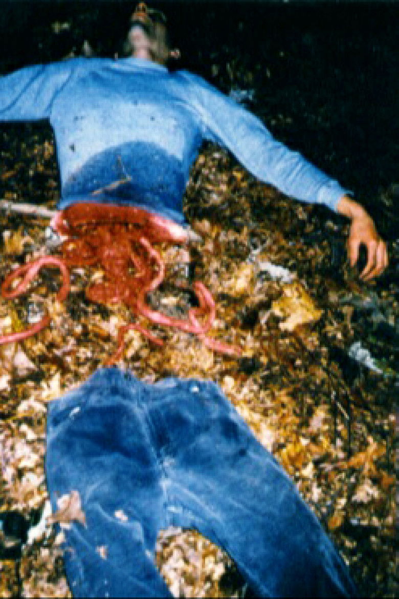 Imatge de Final Scream