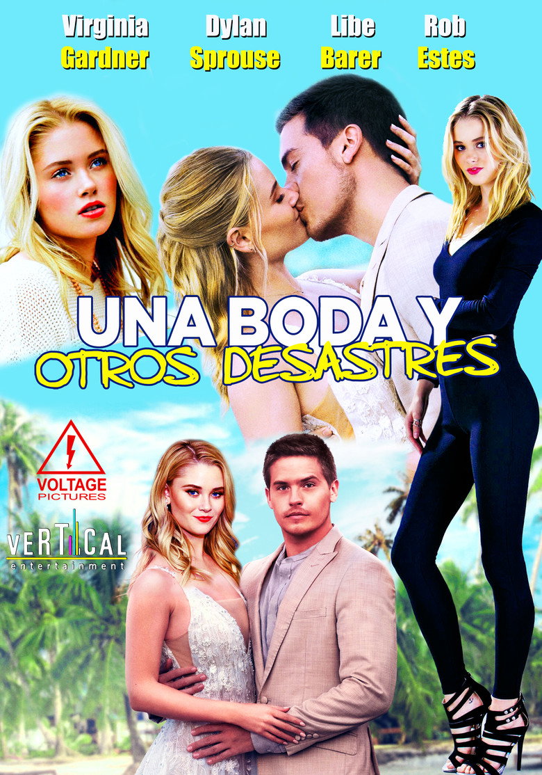 Póster la Película