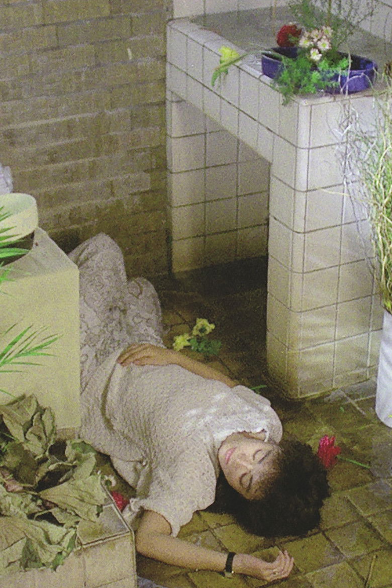 Imatge de 海灘的一天