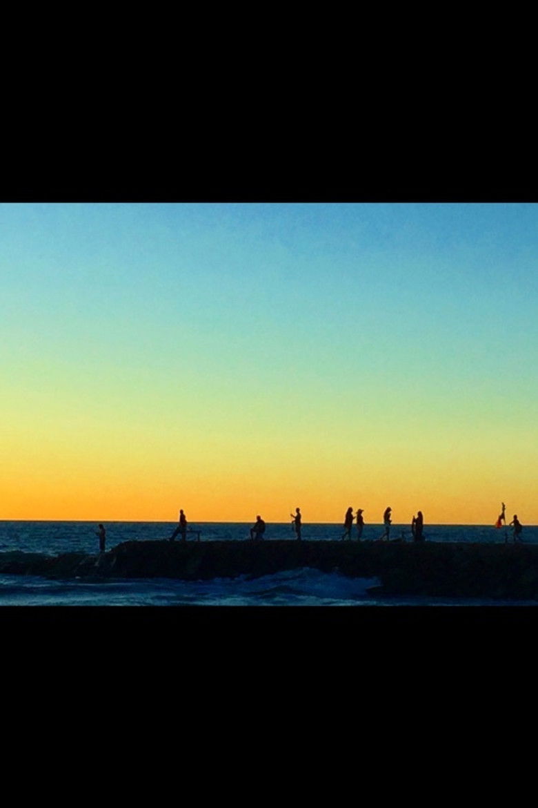 Imatge de Los Gatos Pardos