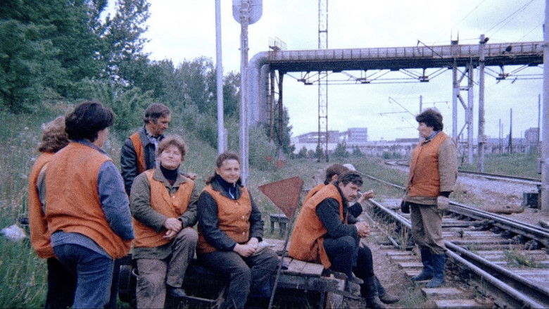 Imatge de Оранжевые жилеты