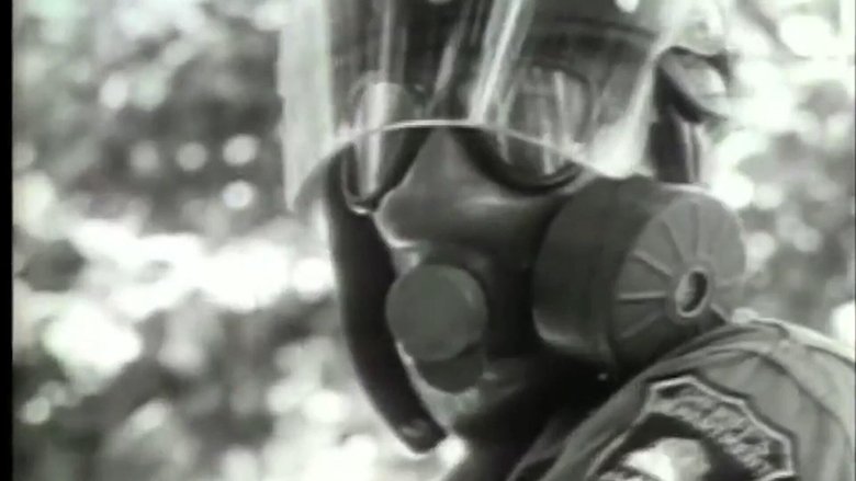 Gallery image from 8yWoJ8iwVuK6sQEmkwQFXKotkVl.jpg