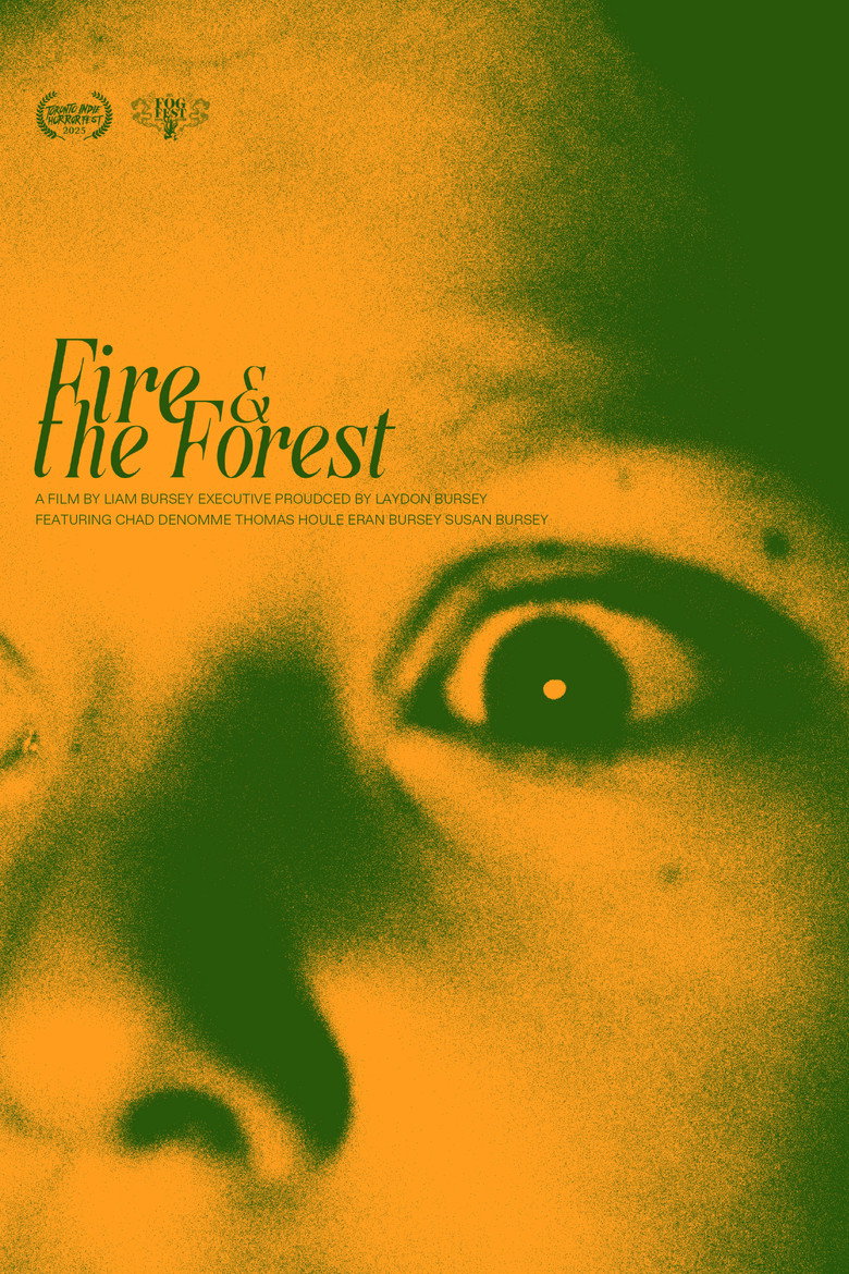 Imatge de Fire and the Forest