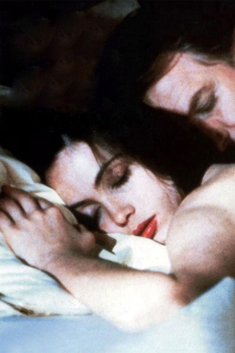 Imatge de Un cor a l’hivern