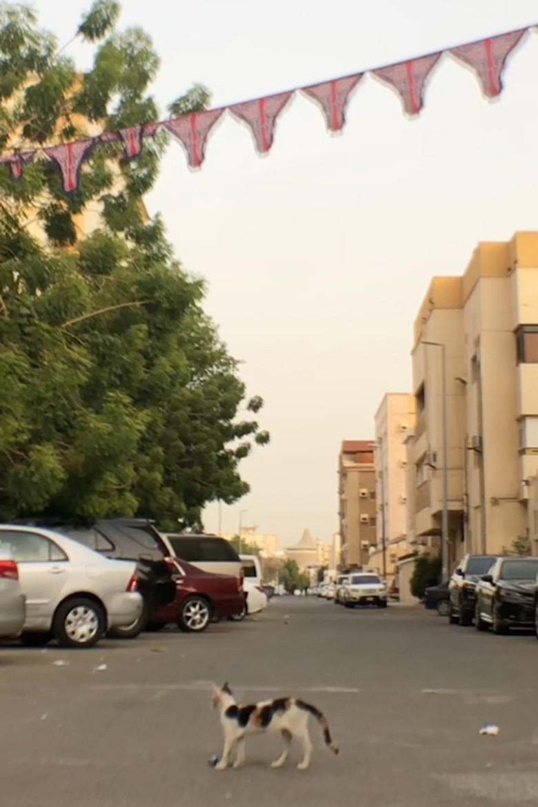 Imatge de محطة الشمس النائمة