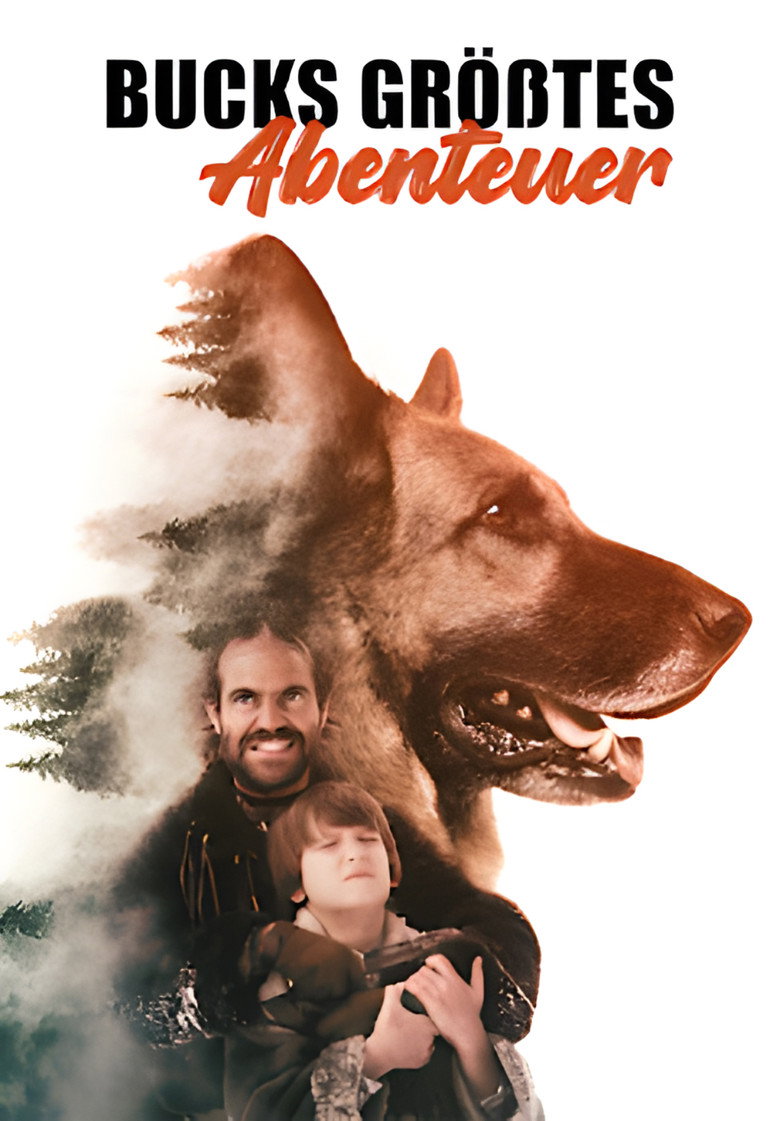posters 5