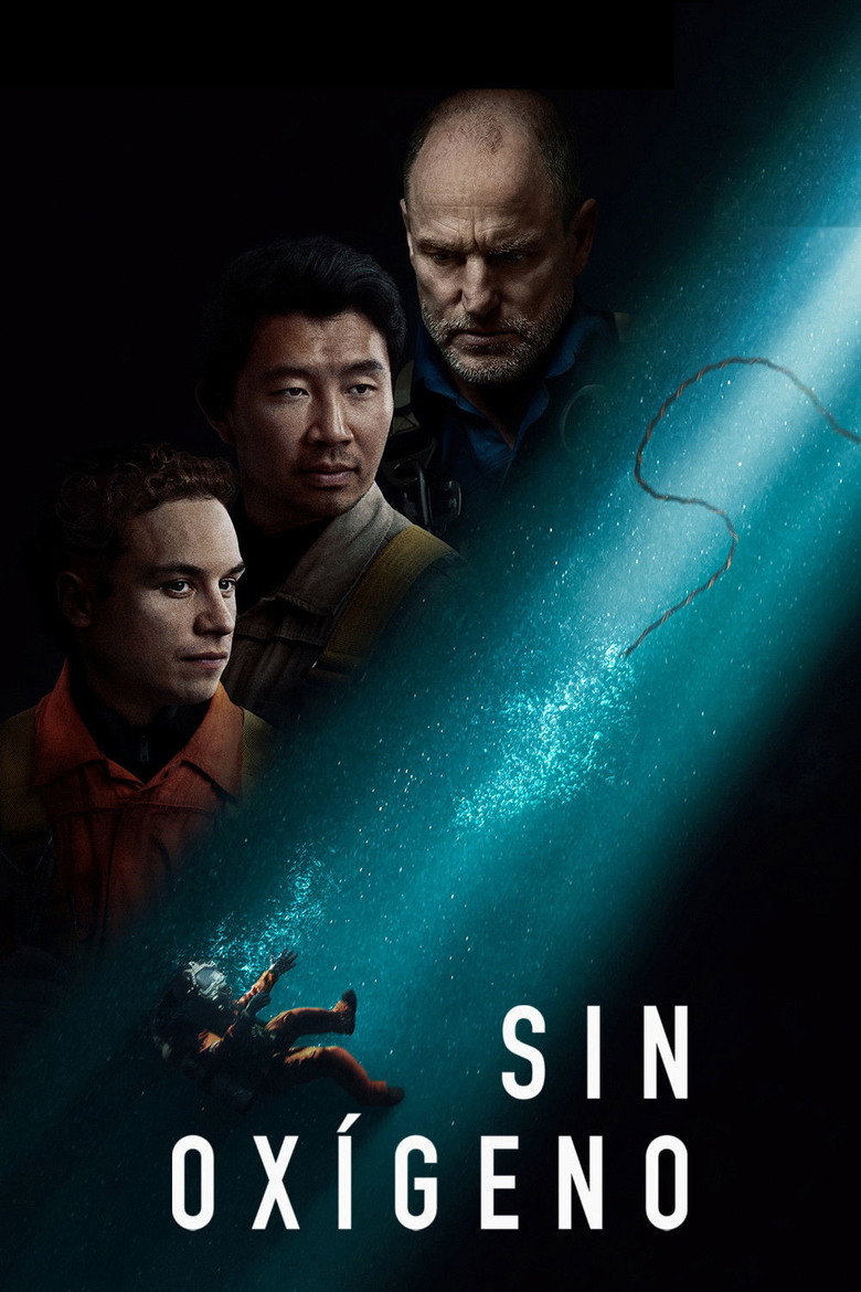Póster la Película