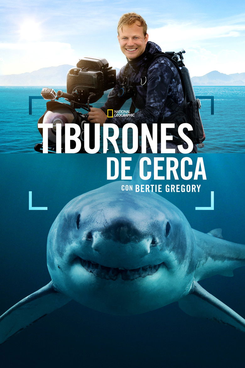 Tiburones en primer plano con Bertie Gregory