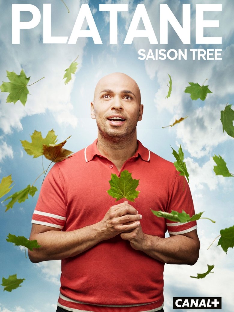 Platane Série Netflix