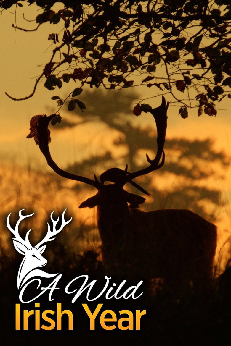 A Wild Irish Year