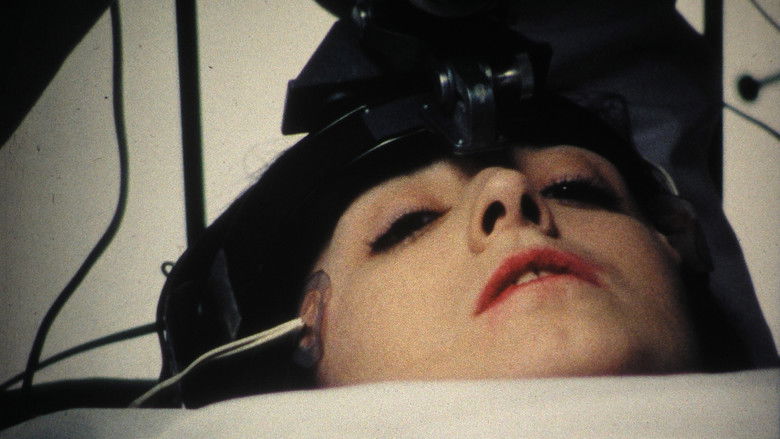 Imatge de Johnny Panic