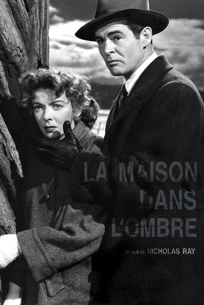 Poster du film La Maison dans l'ombre