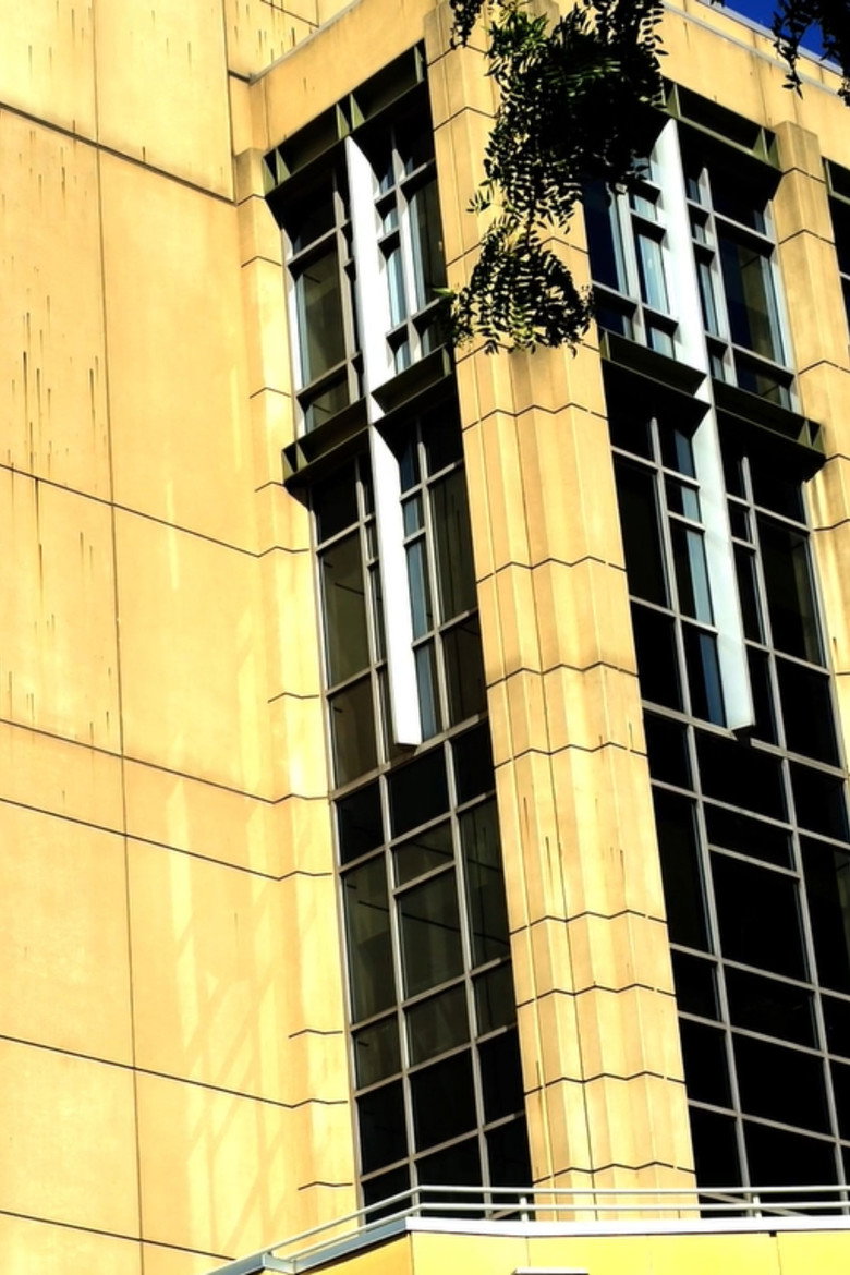 Imatge de Journals 5: Buildings and Greenery