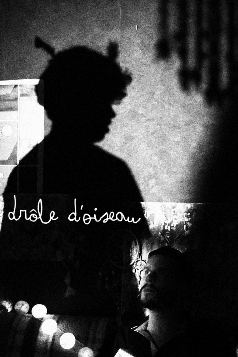 Imatge de Drôle d'Oiseau