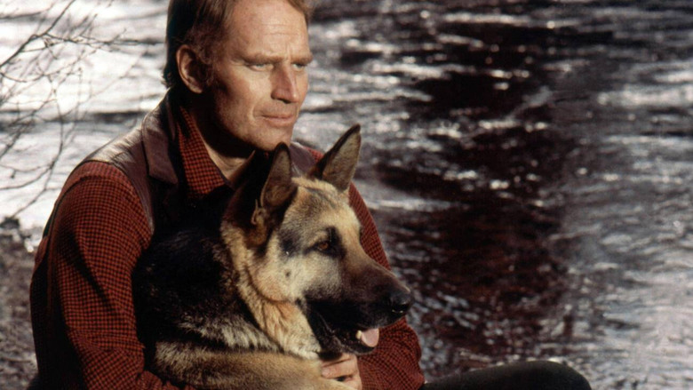 Imatge de The Call of the Wild