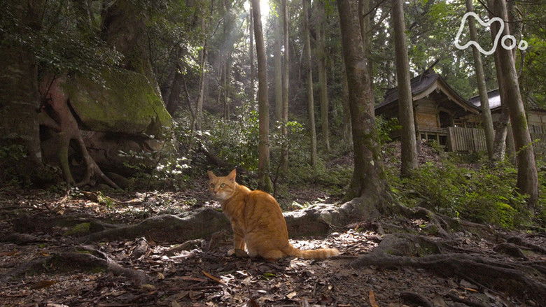 Still image for Mitsuaki Iwago's World “Cats” Travelogue season 1 episode 102: Wakayama Still image for Mitsuaki Iwago's World “Cats” Travelogue season 1 episode 102: Wakayama