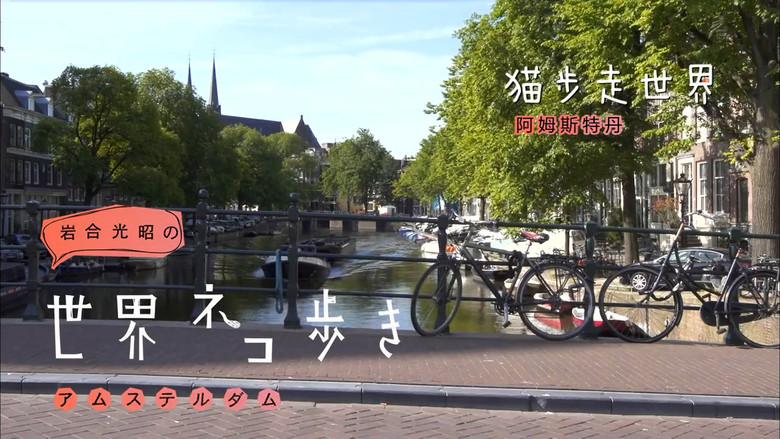 Still image for Mitsuaki Iwago's World “Cats” Travelogue season 1 episode 41: Amsterdam Still image for Mitsuaki Iwago's World “Cats” Travelogue season 1 episode 41: Amsterdam