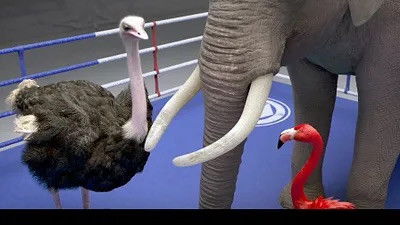 Still image for Athleticus season 1 episode 30: Episode 30