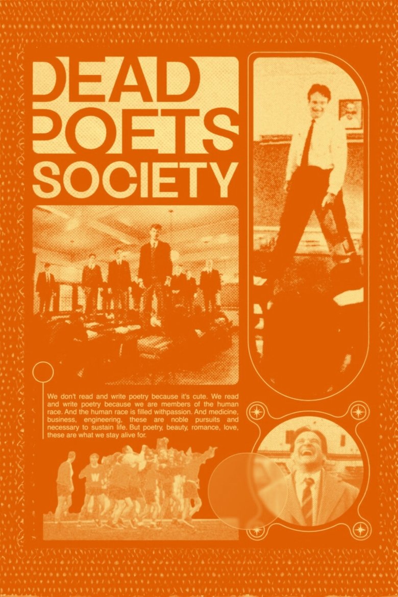Gallery Image 19
