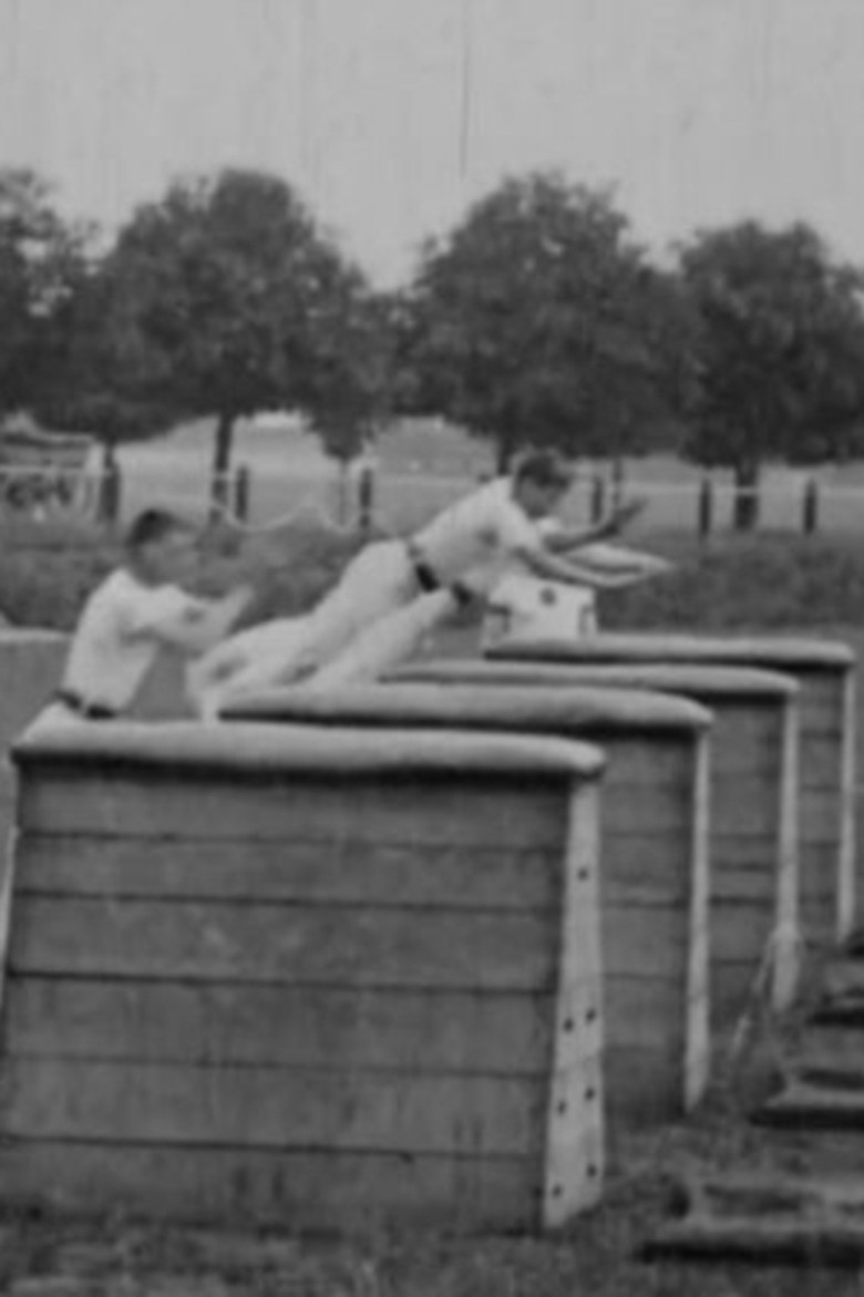 Vaulting Horse Display background
