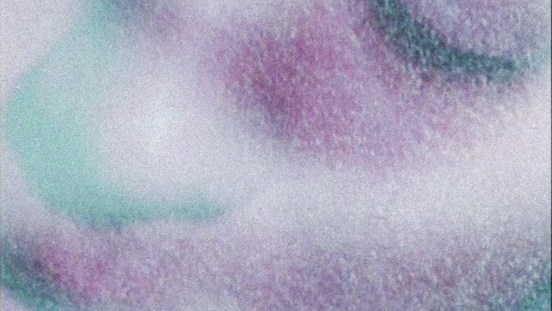 Gallery image from 93Kd7olMPLe8dSL2e0g0KSX3XzT.jpg