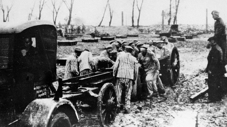 Still image for Unter Deutschen - Zwangsarbeit im NS-Staat season 1 episode 2: Episode 2