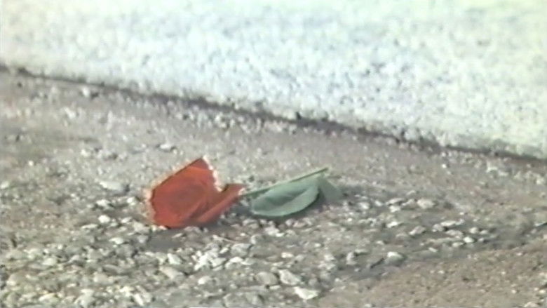 Image d'arrière-plan 4 du film 国際線スチュワーデス　官能飛行