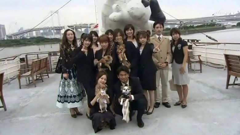 Still image for Hello! Morning season 1 episode 333: Animal Wedding Still image for Hello! Morning season 1 episode 333: Animal Wedding