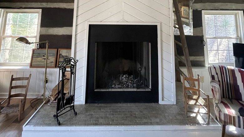 Still image for The Williams Family Cabin season 1 episode 1: The Failed Fireplace