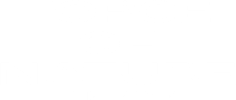 Imagen de The dry 2: La fuerza de la naturaleza