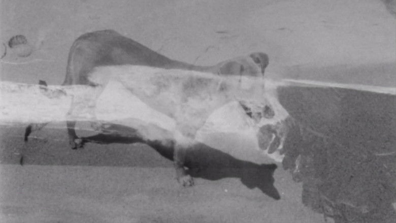 Gallery image from 95kufMrBaR9qHCnUAYH5gvmSJSF.jpg